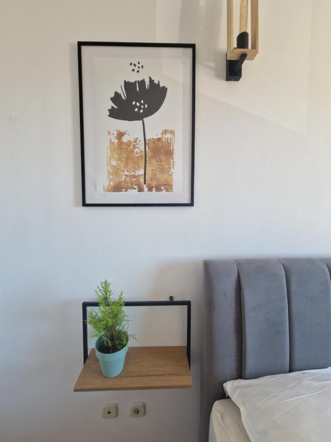 City Apartment Sanja 马卡尔斯卡 外观 照片