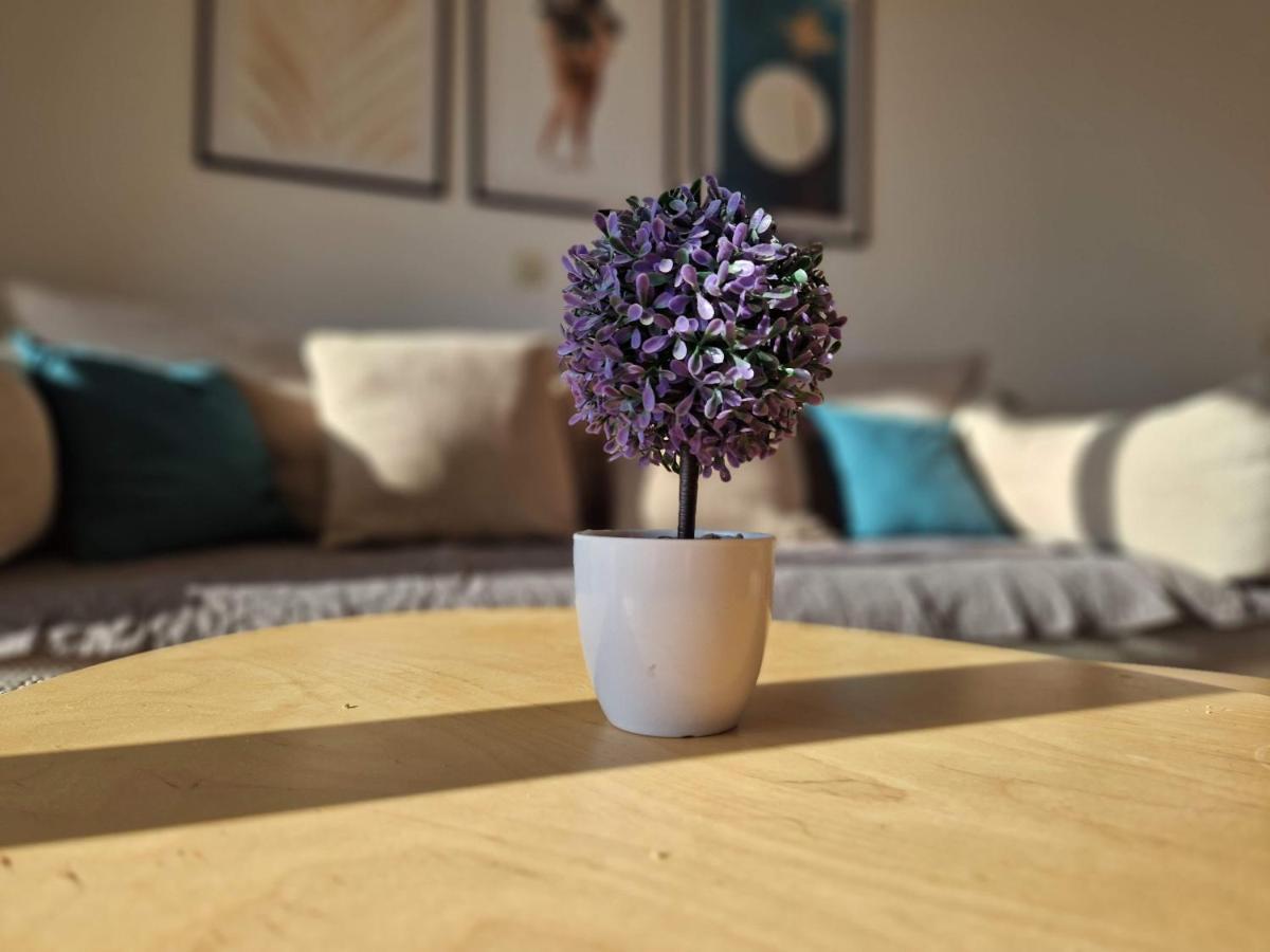 City Apartment Sanja 马卡尔斯卡 外观 照片
